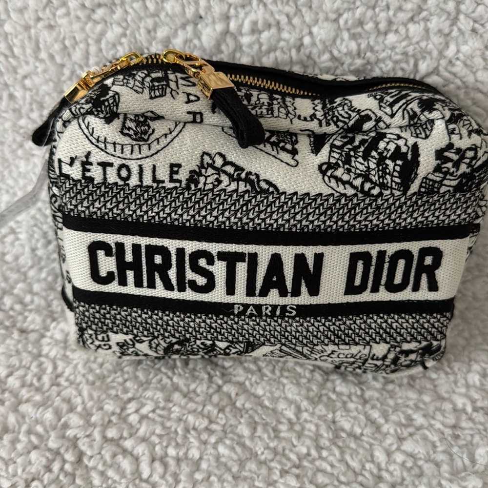Christian Dior Embroidered Toile Pouch Case Bag (Map de Paris)